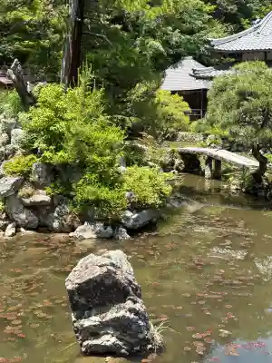 法華寺の{uncategorized: "未分類", other: "その他", undefined: "問題あり", building: "その他建物", grave: "お墓", sacred_gate: "鳥居", guardian: "狛犬", statue: "像", buddha: "仏像", history: "歴史", nature: "自然", garden: "庭園", animal: "動物", pagoda: "塔", temizu: "手水舎", mountain_gate: "山門・神門", sanctuary: "本殿・本堂", subordinate: "末社・摂社", art: "芸術", scenery: "景色", jizo: "地蔵", ema: "絵馬", goshuin: "御朱印", omikuji: "おみくじ", items: "授与品その他", amulet: "お守り", goshuincho: "御朱印帳", eats: "食事", festival: "お祭り", votive_dance: "神楽", shichigosan: "七五三参", wedding: "結婚式", experience: "体験その他", initially: "初詣", around: "周辺", anti_infection: "感染症対策"}