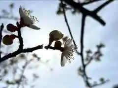 善光寺(長野県)