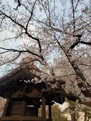 如宝寺(福島県)