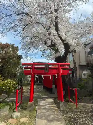 白山神社(東京都)