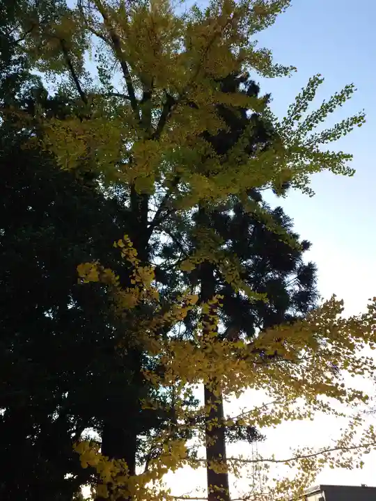 速谷神社(広島県)