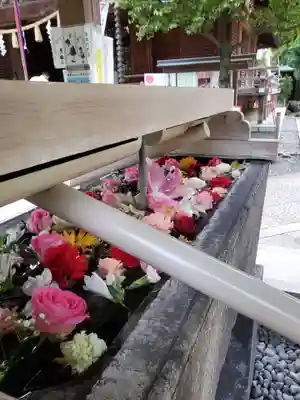 鳩森八幡神社(東京都)