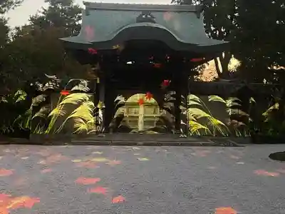 高台寺（高台寿聖禅寺・高臺寺）(京都府)