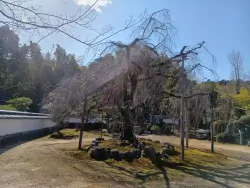 保壽院（保寿院）(岐阜県)