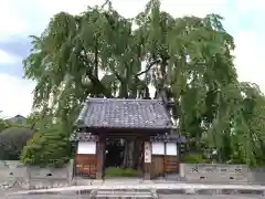 増泉寺(長野県)