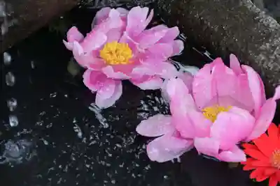 大鏑神社の手水舎