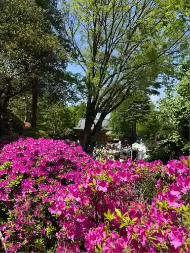 根津神社(東京都)