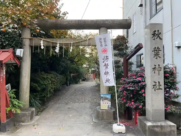 秋葉神社の鳥居