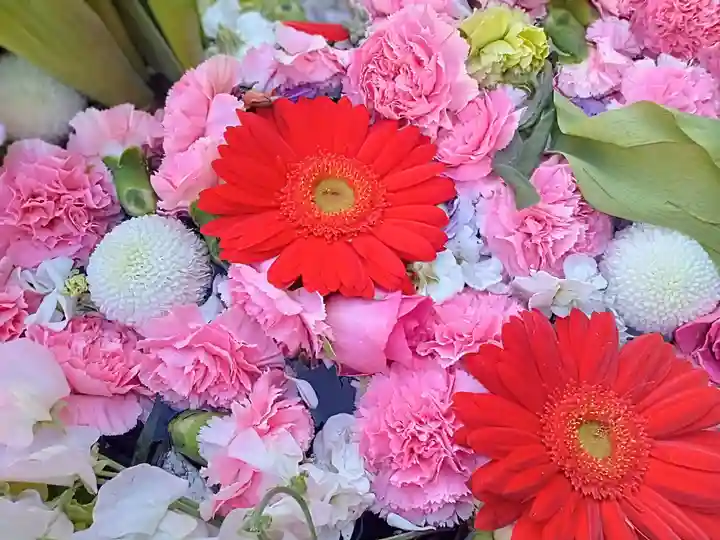 釋迦院(釈迦院)(大阪府)