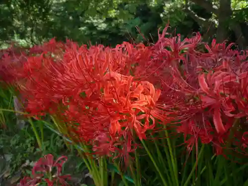 金刀比羅神社の周辺