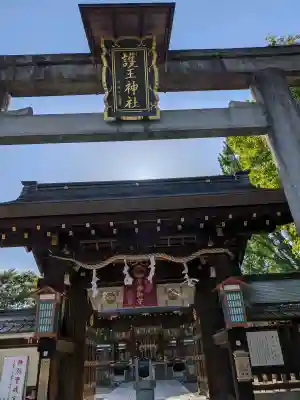 護王神社の{uncategorized: "未分類", other: "その他", undefined: "問題あり", building: "その他建物", grave: "お墓", sacred_gate: "鳥居", guardian: "狛犬", statue: "像", buddha: "仏像", history: "歴史", nature: "自然", garden: "庭園", animal: "動物", pagoda: "塔", temizu: "手水舎", mountain_gate: "山門・神門", sanctuary: "本殿・本堂", subordinate: "末社・摂社", art: "芸術", scenery: "景色", jizo: "地蔵", ema: "絵馬", goshuin: "御朱印", omikuji: "おみくじ", items: "授与品その他", amulet: "お守り", goshuincho: "御朱印帳", eats: "食事", festival: "お祭り", votive_dance: "神楽", shichigosan: "七五三参", wedding: "結婚式", experience: "体験その他", initially: "初詣", around: "周辺", anti_infection: "感染症対策"}
