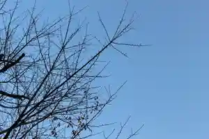 くまくま神社(導きの社 熊野町熊野神社)の自然(2021年12月12日(日) 18時35分17秒投稿)