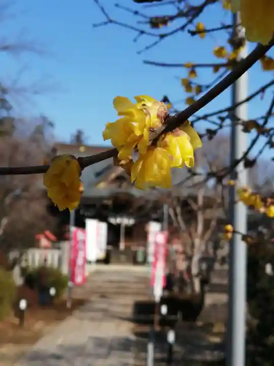 境香取神社の自然