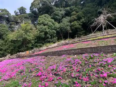 普門寺(切り絵御朱印発祥の寺)(愛知県)