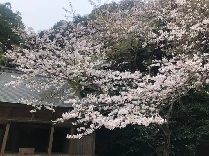 櫻井神社(福岡県)