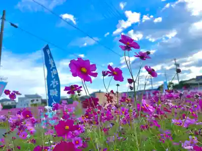 夜夫多神社(三重県)