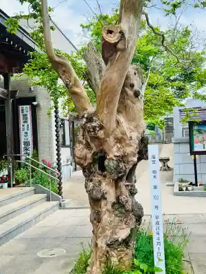 福永寺(茨城県)