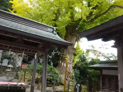 荏柄天神社(神奈川県)