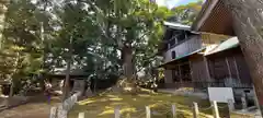 川津来宮神社(静岡県)