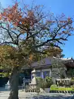 弘誓院の本殿・本堂