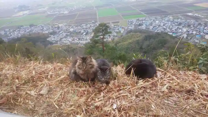 村雲御所瑞龍寺門跡(滋賀県)