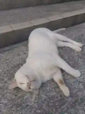 宝寿院(愛知県)