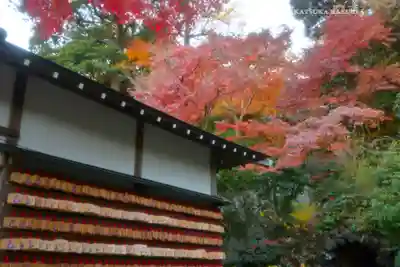 長谷寺のその他建物