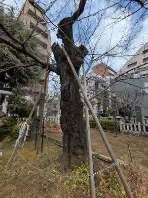 湯島御霊社(東京都)