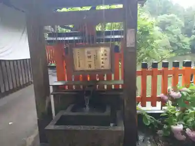 伏見稲荷大社　御膳谷奉拝所の手水舎