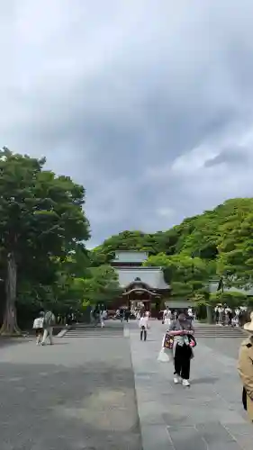 鶴岡八幡宮(神奈川県)