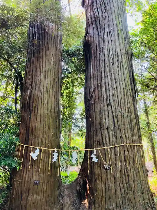 日吉神社(千葉県)