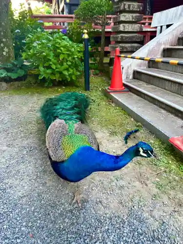 楽法寺（雨引観音）(茨城県)