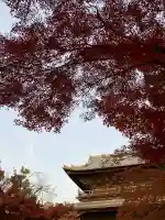 南禅寺(京都府)