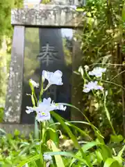 別所神社(長野県)