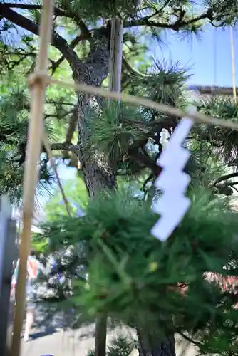 相模国総社六所神社(神奈川県)