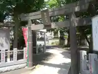 白髭神社の鳥居
