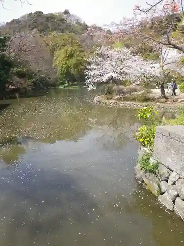 鶴岡八幡宮の庭園