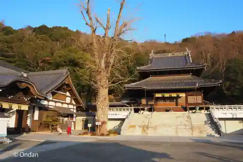 最上稲荷山妙教寺の建物その他