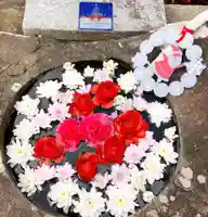 真言宗 善通寺派 薬王寺(香川県)