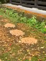 宮昌寺(福島県)