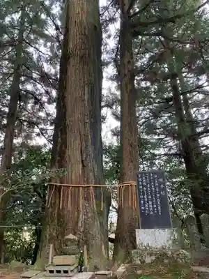諭鶴羽神社(兵庫県)