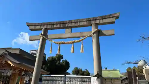 難波大社　生國魂神社の鳥居