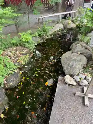 秩父神社の{uncategorized: "未分類", other: "その他", undefined: "問題あり", building: "その他建物", grave: "お墓", sacred_gate: "鳥居", guardian: "狛犬", statue: "像", buddha: "仏像", history: "歴史", nature: "自然", garden: "庭園", animal: "動物", pagoda: "塔", temizu: "手水舎", mountain_gate: "山門・神門", sanctuary: "本殿・本堂", subordinate: "末社・摂社", art: "芸術", scenery: "景色", jizo: "地蔵", ema: "絵馬", goshuin: "御朱印", omikuji: "おみくじ", items: "授与品その他", amulet: "お守り", goshuincho: "御朱印帳", eats: "食事", festival: "お祭り", votive_dance: "神楽", shichigosan: "七五三参", wedding: "結婚式", experience: "体験その他", initially: "初詣", around: "周辺", anti_infection: "感染症対策"}