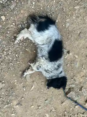 天台宗 五大山 白毫寺(兵庫県)