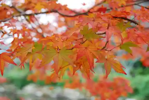 東行庵(山口県)
