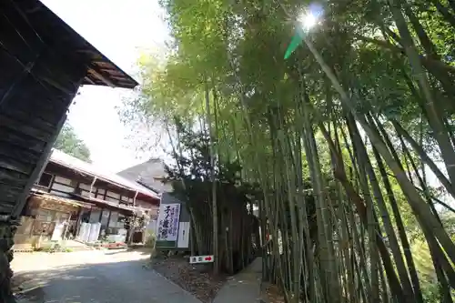 天龍寺(埼玉県)