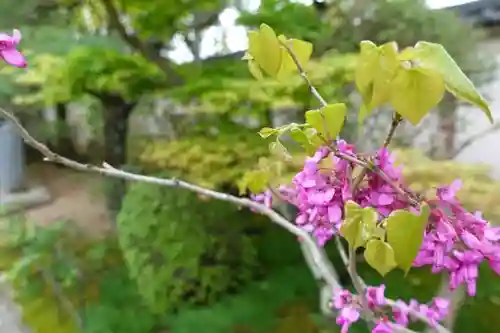 中宮寺の庭園