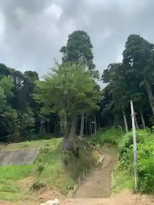八坂神社の周辺