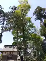 国生大野神社(福井県)