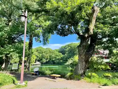 親之井稲荷(尊)跡(東京都)